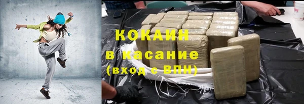 стафф Алексин