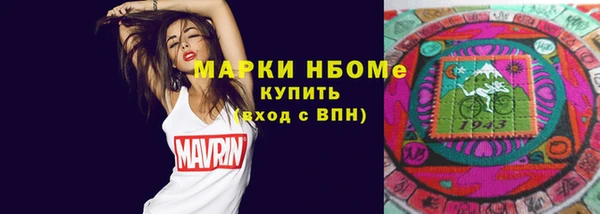 стафф Алексин