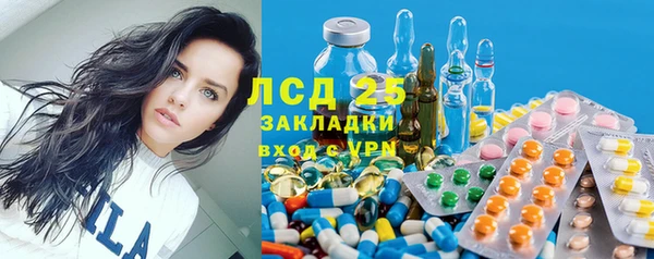 стафф Алексин