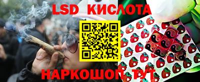 сатива Ирбит
