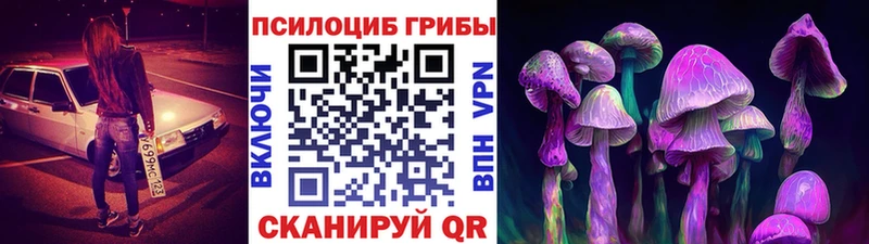 kraken ТОР Кыштым Галлюциногенные грибы Psilocybe